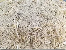 Bagasse(Sugar Cane) Bagasse(Sugar Cane)